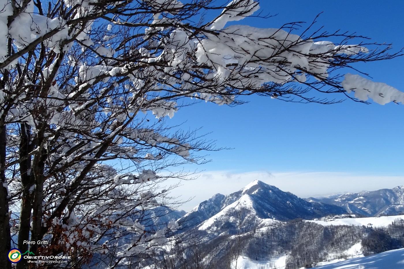 17 Vista su Serina, Val Serina, Monte Gioco.JPG